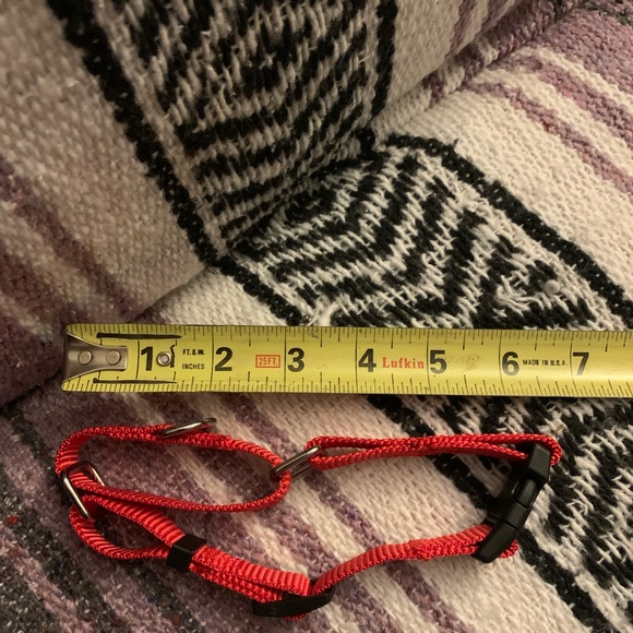 Dog collar new and adjustable - Picture 3 of 4